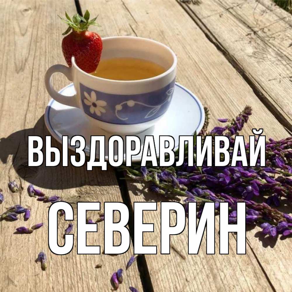 Открытка на каждый день с именем, Северин Выздоравливай чай Прикольная открытка с пожеланием онлайн скачать бесплатно 