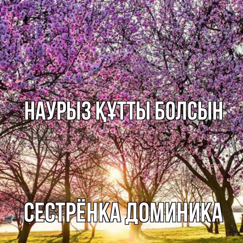 Открытка на каждый день с именем, Сестрёнка-Доминика Наурыз құтты болсын наурыз Прикольная открытка с пожеланием онлайн скачать бесплатно 