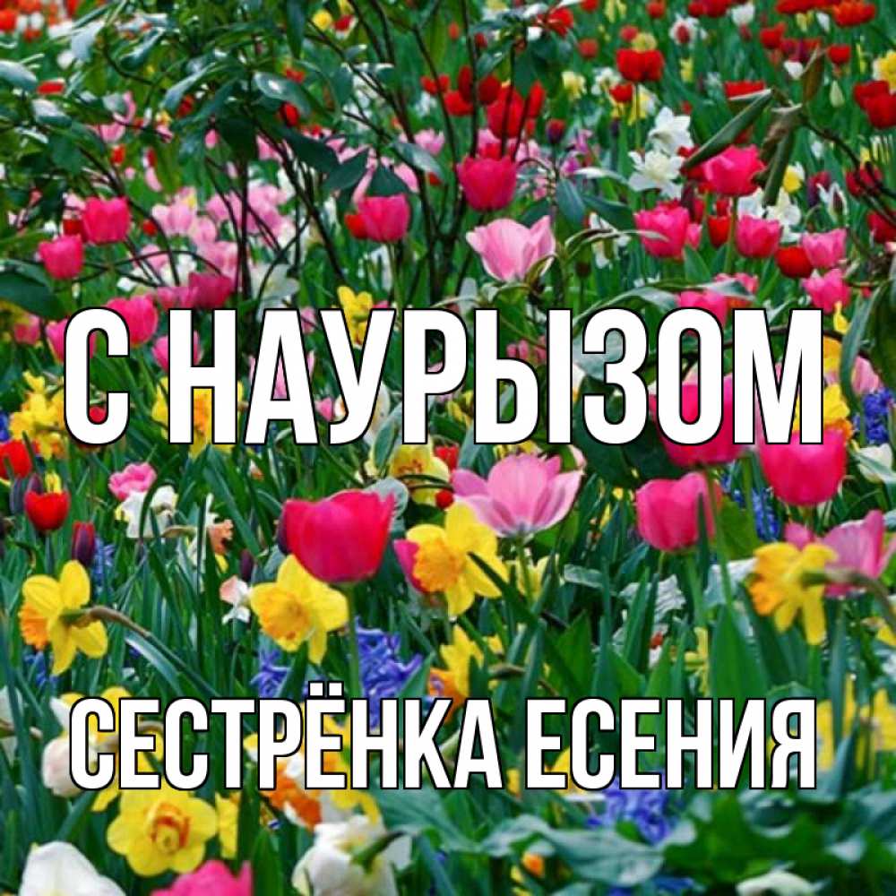 Открытка на каждый день с именем, Сестрёнка-Есения С наурызом с наурызом праздником весны поздравления для женщины Прикольная открытка с пожеланием онлайн скачать бесплатно 