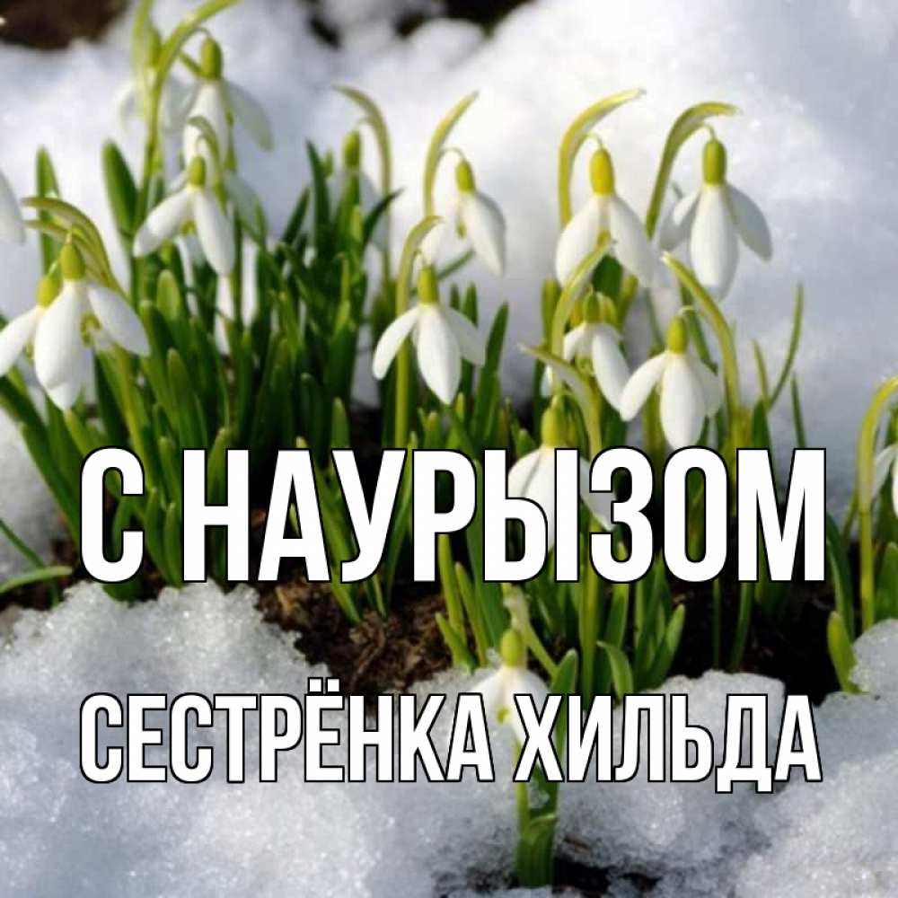 Открытка на каждый день с именем, Сестрёнка-Хильда С наурызом цветы весенние Прикольная открытка с пожеланием онлайн скачать бесплатно 