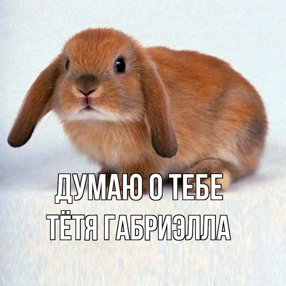 Открытка на каждый день с именем, Тётя-Габриэлла Думаю о тебе кроль коричневый Прикольная открытка с пожеланием онлайн скачать бесплатно 