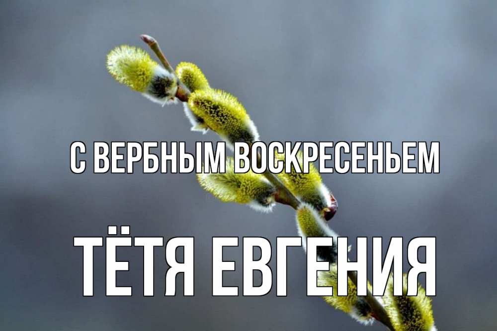 Открытка на каждый день с именем, Тётя-Евгения С вербным воскресеньем верба Прикольная открытка с пожеланием онлайн скачать бесплатно 