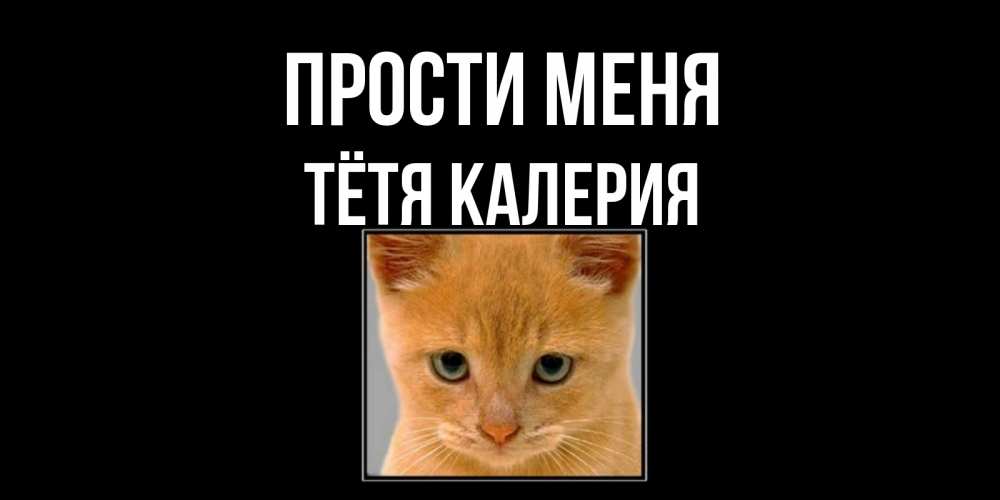 Открытка на каждый день с именем, Тётя-Калерия Прости меня рыжий грустный кот просит прощения Прикольная открытка с пожеланием онлайн скачать бесплатно 