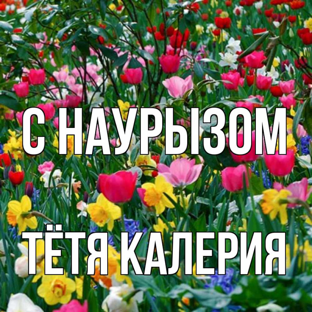 Открытка на каждый день с именем, Тётя-Калерия С наурызом с наурызом праздником весны поздравления для женщины Прикольная открытка с пожеланием онлайн скачать бесплатно 
