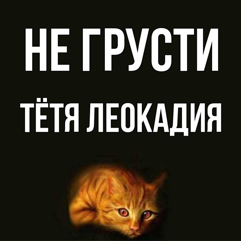 Открытка на каждый день с именем, Тётя-Леокадия Не грусти лежащий кот в темноте Прикольная открытка с пожеланием онлайн скачать бесплатно 