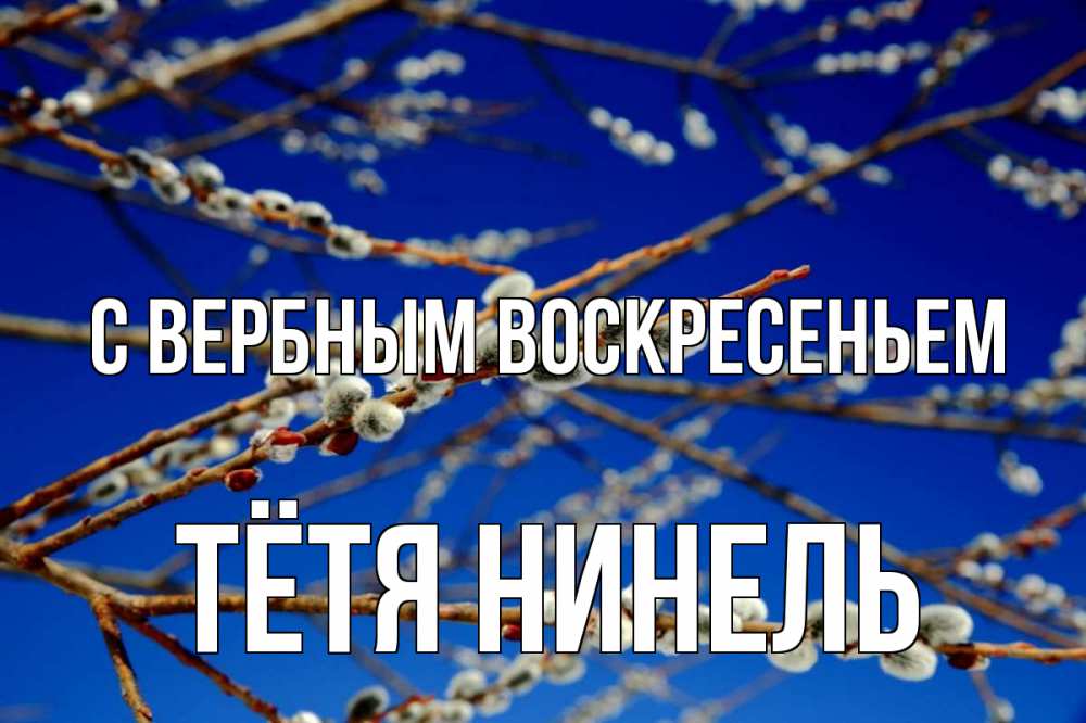 Открытка на каждый день с именем, Тётя-Нинель С вербным воскресеньем верба Прикольная открытка с пожеланием онлайн скачать бесплатно 
