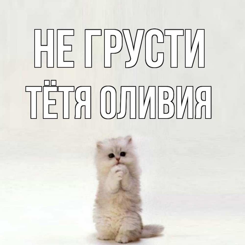 Открытка на каждый день с именем, Тётя-Оливия Не грусти грустный кот Прикольная открытка с пожеланием онлайн скачать бесплатно 