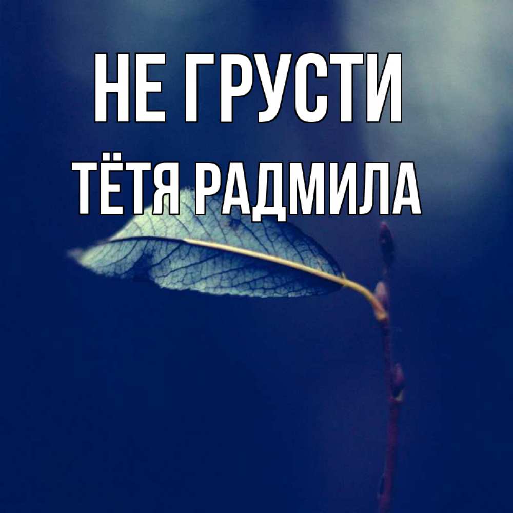 Открытка на каждый день с именем, Тётя-Радмила Не грусти растение Прикольная открытка с пожеланием онлайн скачать бесплатно 