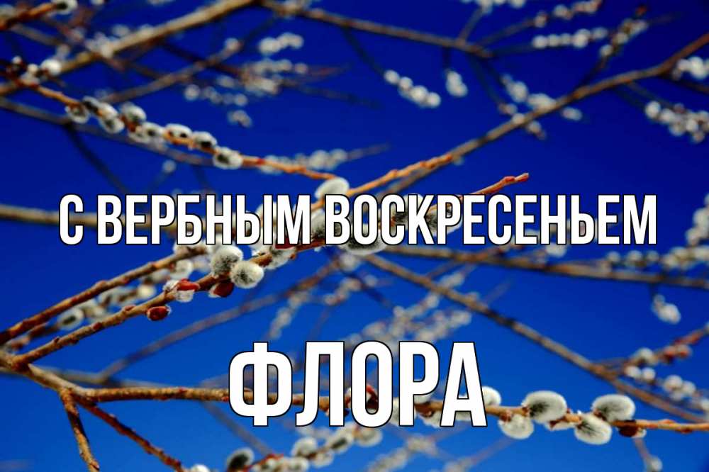 Открытка на каждый день с именем, Флора С вербным воскресеньем верба Прикольная открытка с пожеланием онлайн скачать бесплатно 
