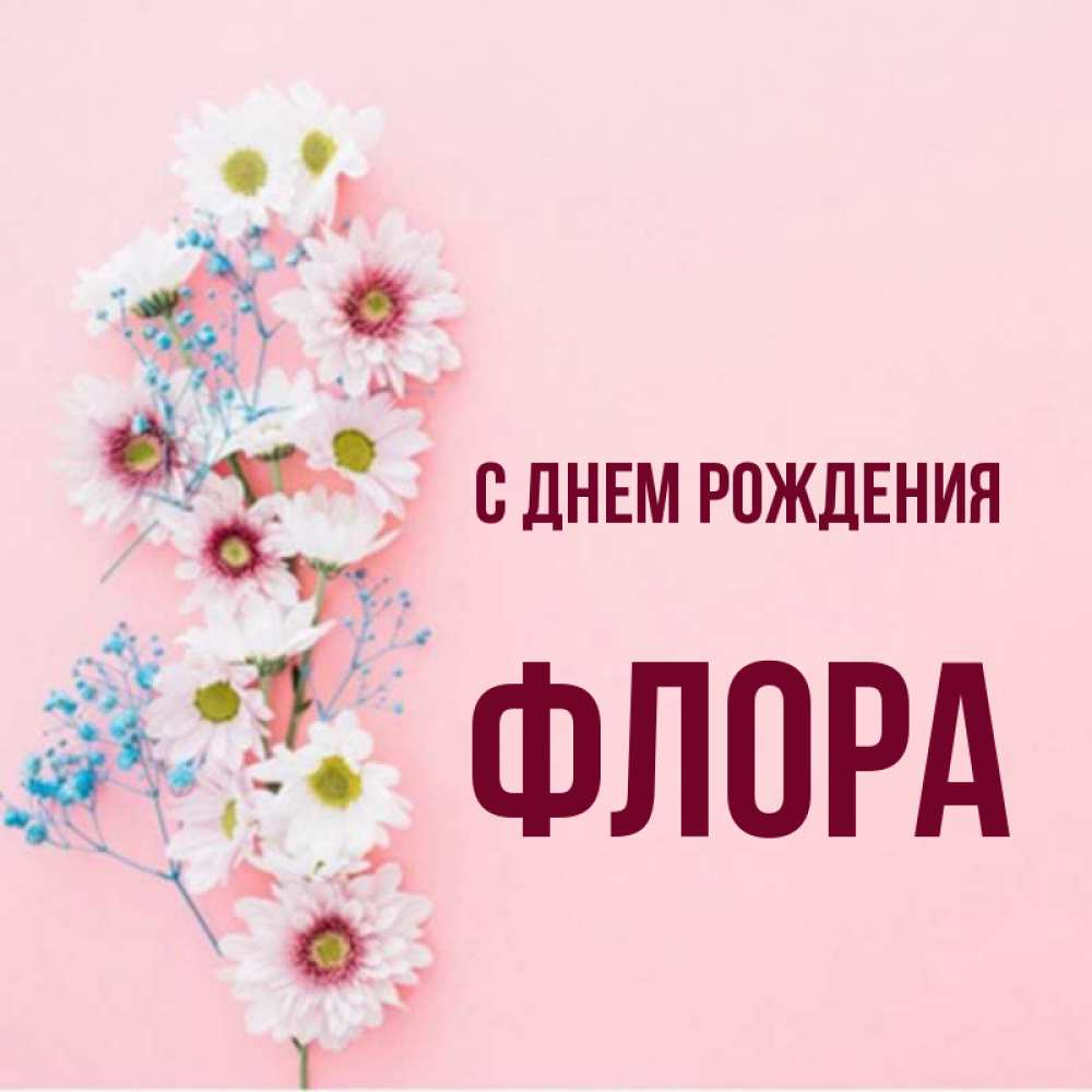 Открытка на каждый день с именем, Флора С днем рождения Родная моя с днем рождения тебя картинка с цветами белыми и голубыми Прикольная открытка с пожеланием онлайн скачать бесплатно 