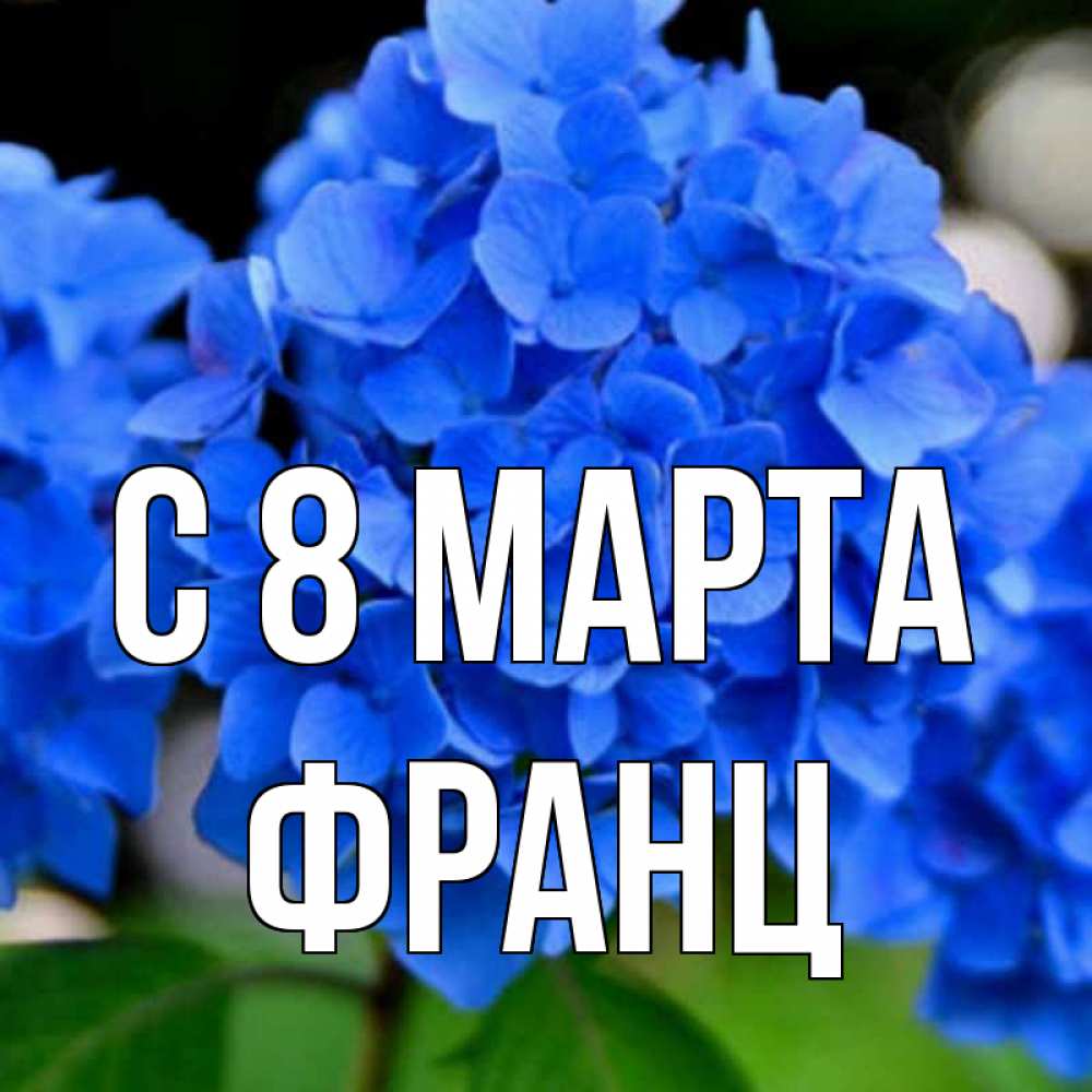 Открытка на каждый день с именем, Франц С 8 МАРТА синие цветы Прикольная открытка с пожеланием онлайн скачать бесплатно 