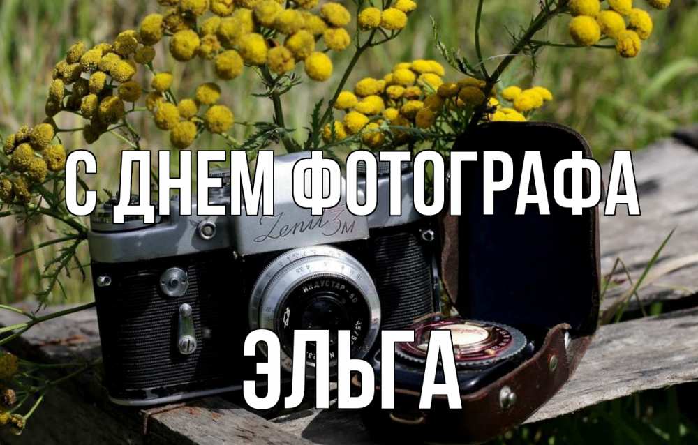 Открытка на каждый день с именем, Эльга С днем фотографа с днем фотографа Прикольная открытка с пожеланием онлайн скачать бесплатно 