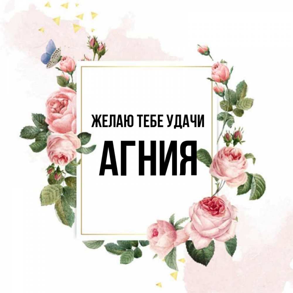 Открытка на каждый день с именем, Агния Желаю тебе удачи розовые розы Прикольная открытка с пожеланием онлайн скачать бесплатно 