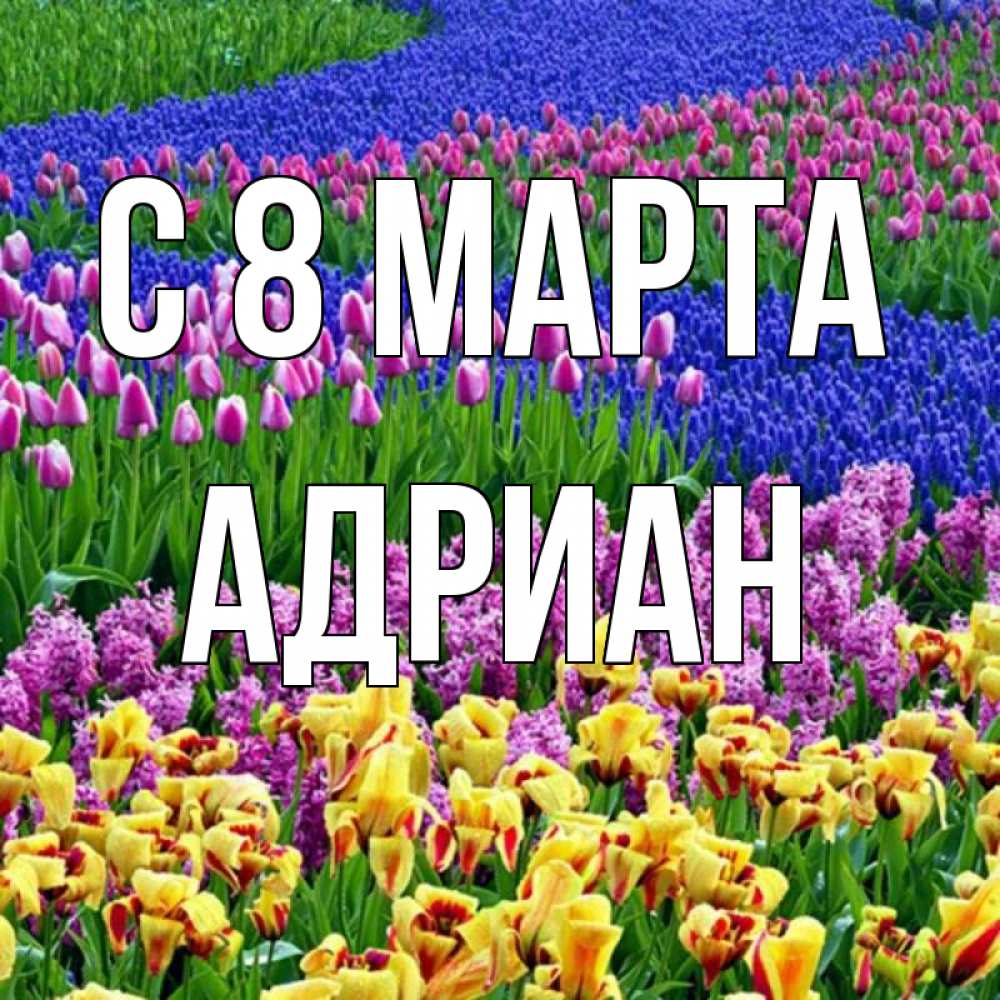 Открытка на каждый день с именем, Адриан С 8 МАРТА цветы Прикольная открытка с пожеланием онлайн скачать бесплатно 