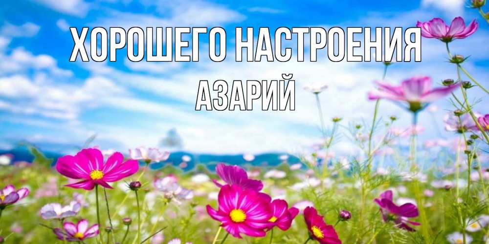Открытка на каждый день с именем, Азарий Хорошего настроения поле цветов Прикольная открытка с пожеланием онлайн скачать бесплатно 