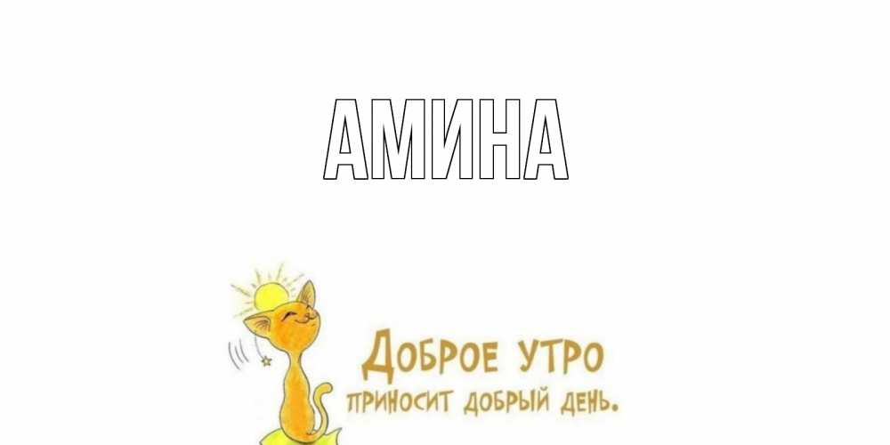 Открытка на каждый день с именем, Амина Главная кот, солнце Прикольная открытка с пожеланием онлайн скачать бесплатно 