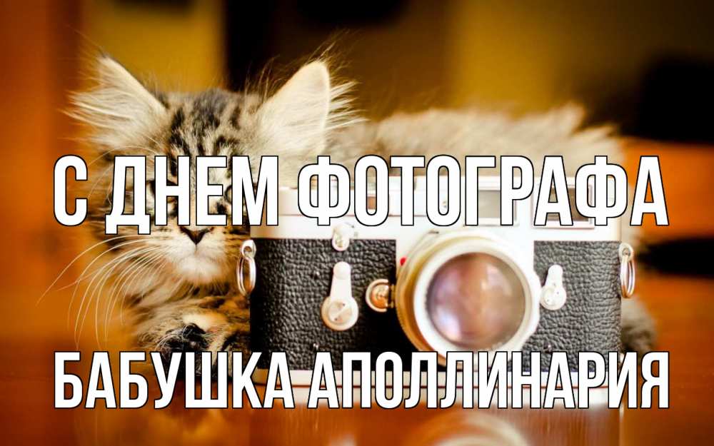 Открытка на каждый день с именем, Бабушка-Аполлинария С днем фотографа с днем фотографа Прикольная открытка с пожеланием онлайн скачать бесплатно 