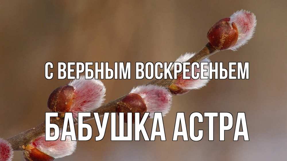 Открытка на каждый день с именем, Бабушка-Астра С вербным воскресеньем верба Прикольная открытка с пожеланием онлайн скачать бесплатно 