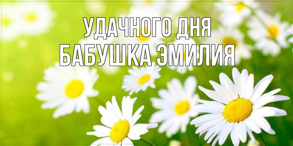 Открытка на каждый день с именем, Бабушка-Эмилия Удачного дня открытка с ромашками на зеленом фоне Прикольная открытка с пожеланием онлайн скачать бесплатно 