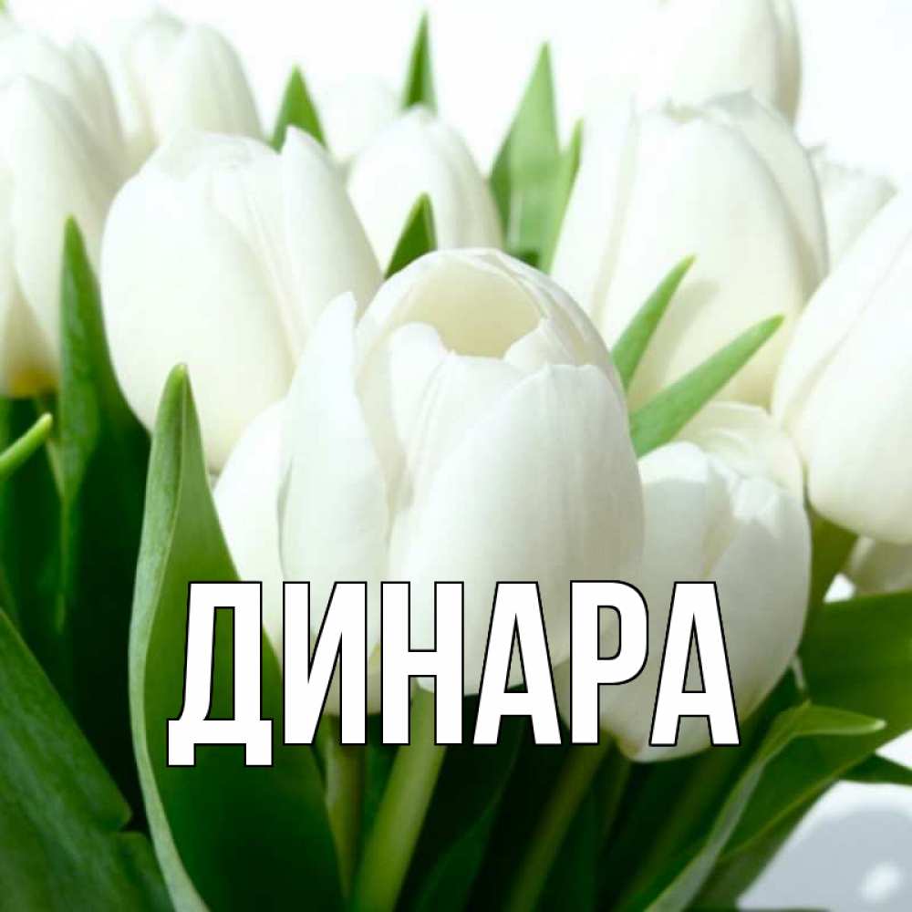 Открытка на каждый день с именем, Динара Главная цветы Прикольная открытка с пожеланием онлайн скачать бесплатно 
