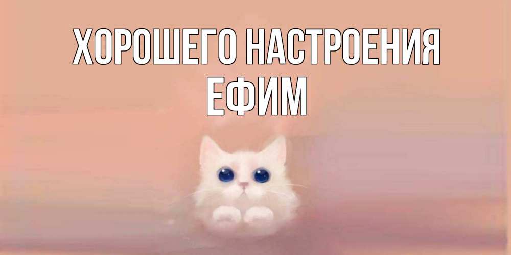 Открытка на каждый день с именем, Ефим Хорошего настроения кошка Прикольная открытка с пожеланием онлайн скачать бесплатно 