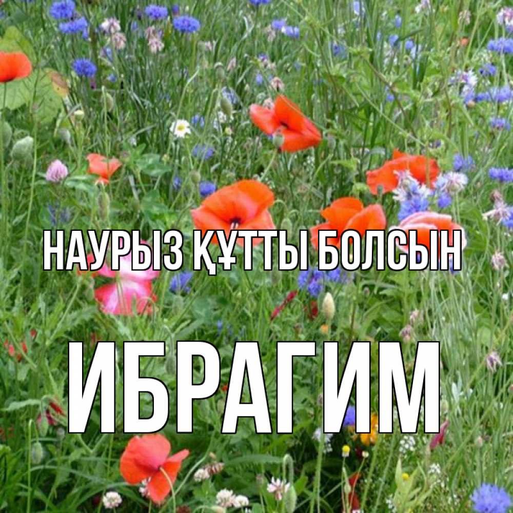 Открытка на каждый день с именем, Ибрагим Наурыз құтты болсын наурыз  4 Прикольная открытка с пожеланием онлайн скачать бесплатно 