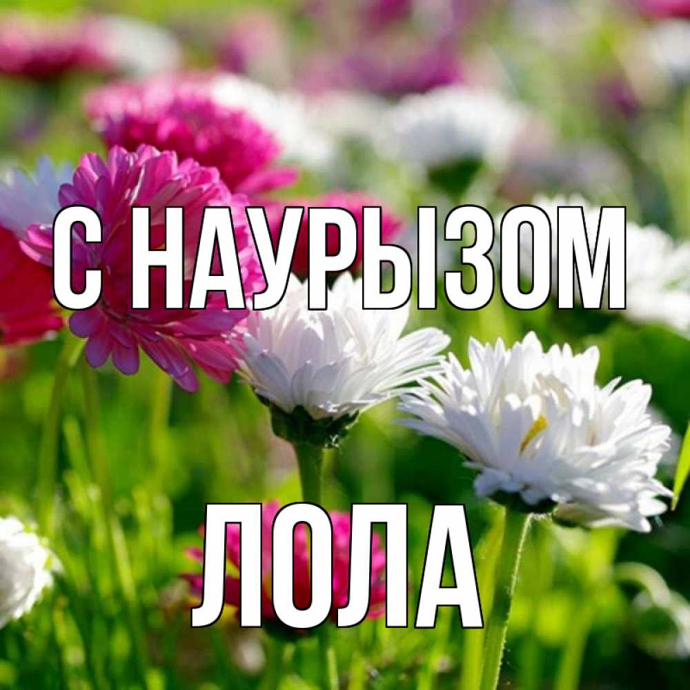 Открытка на каждый день с именем, Лола С наурызом праздник весны наурыз красота Прикольная открытка с пожеланием онлайн скачать бесплатно 