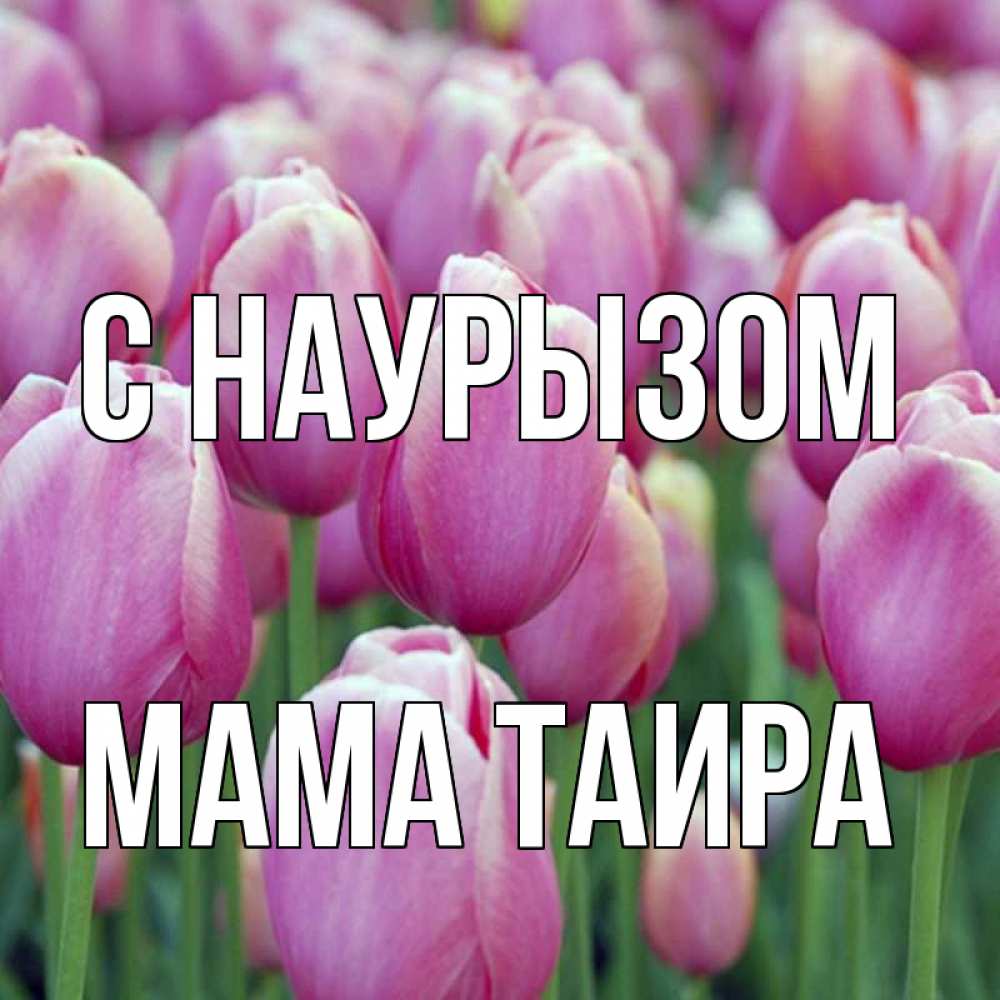 Открытка на каждый день с именем, Мама-Таира С наурызом праздник весны наурыз 69 Прикольная открытка с пожеланием онлайн скачать бесплатно 