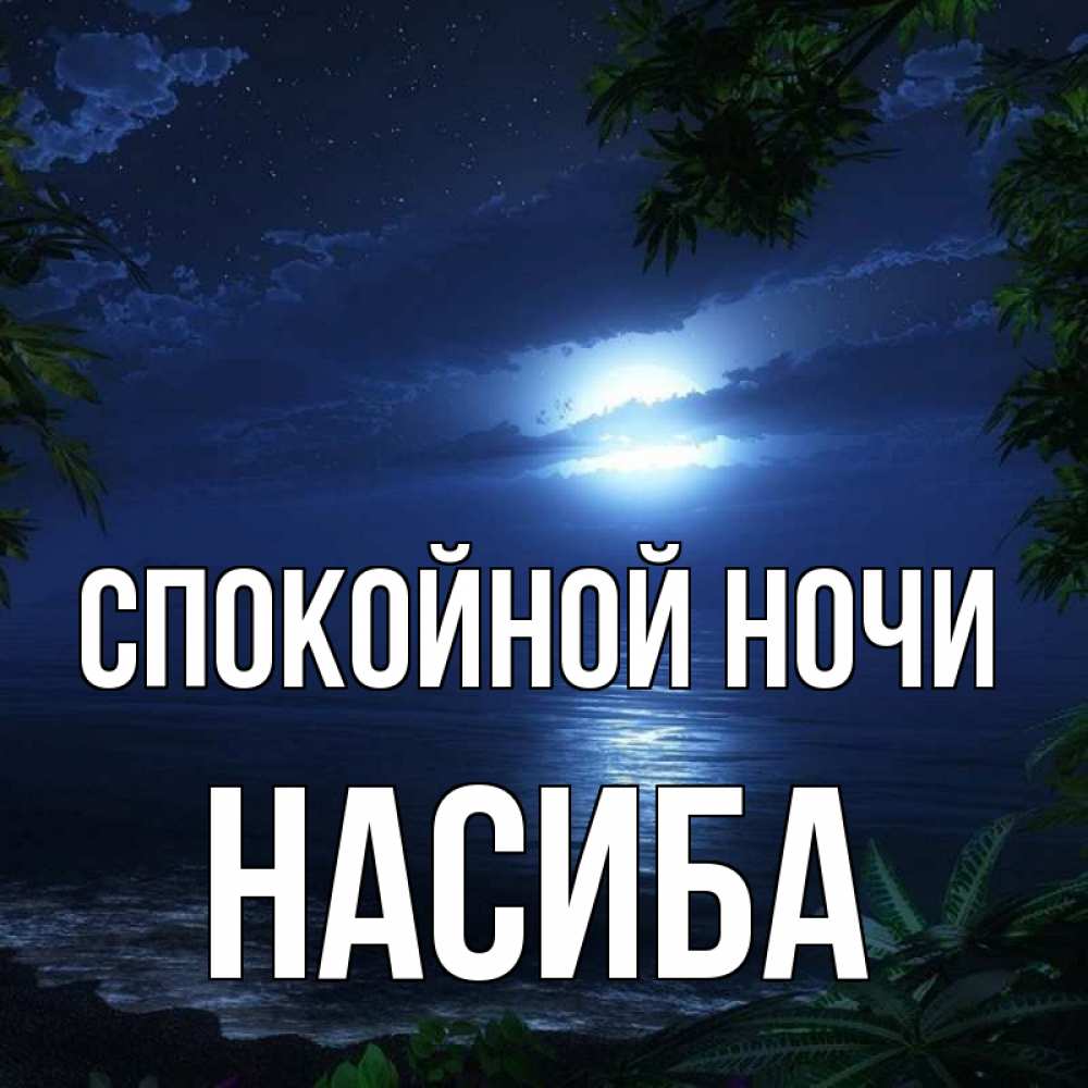 Открытка на каждый день с именем, Насиба Спокойной ночи тропический остров Прикольная открытка с пожеланием онлайн скачать бесплатно 