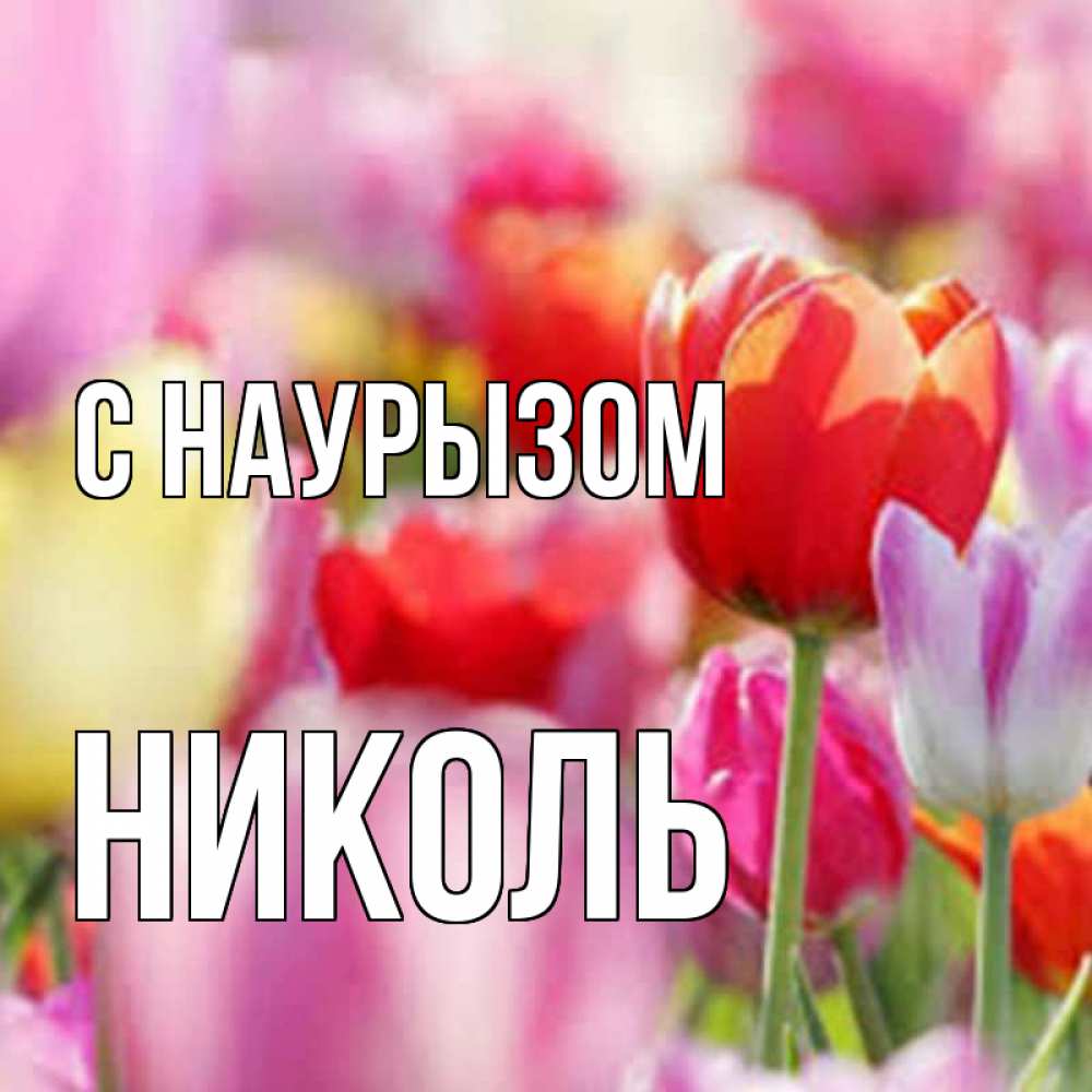 Открытка на каждый день с именем, Николь С наурызом праздник весны наурыз 67 Прикольная открытка с пожеланием онлайн скачать бесплатно 