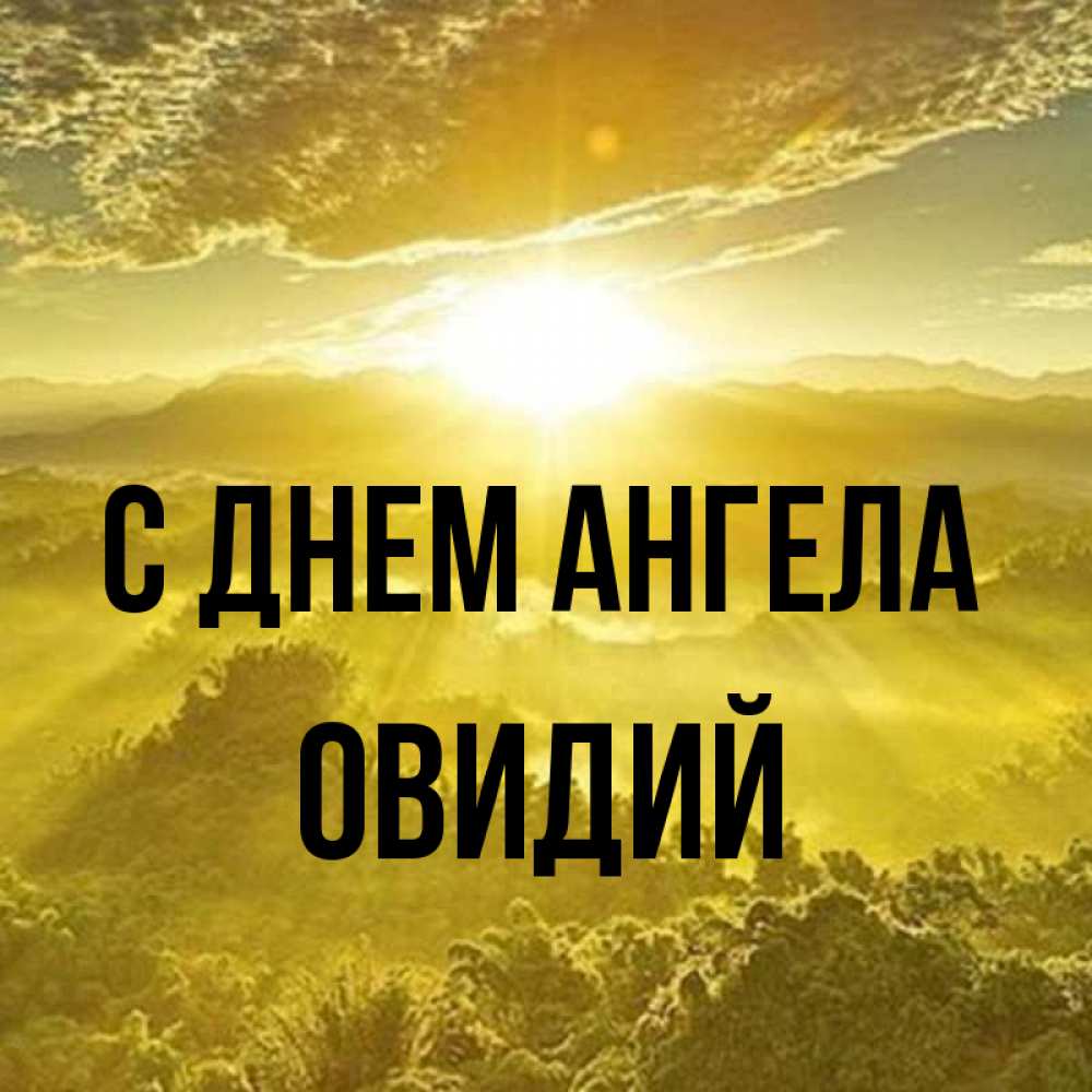 Открытка на каждый день с именем, Овидий С днем ангела леса и небо в желтом Прикольная открытка с пожеланием онлайн скачать бесплатно 