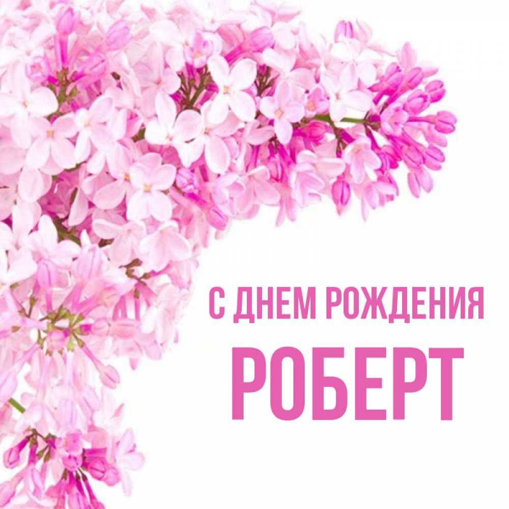 Открытка на каждый день с именем, Роберт С днем рождения Сирень на белом фоне Прикольная открытка с пожеланием онлайн скачать бесплатно 