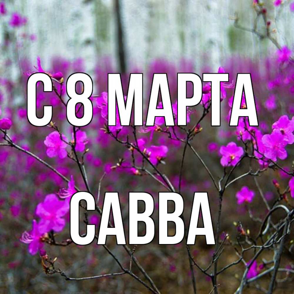 Открытка на каждый день с именем, Савва С 8 МАРТА дикие цветы Прикольная открытка с пожеланием онлайн скачать бесплатно 