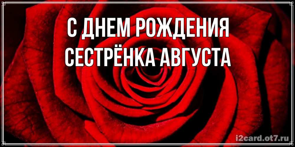 Открытка на каждый день с именем, Сестрёнка-Августа С днем рождения алая роза Прикольная открытка с пожеланием онлайн скачать бесплатно 