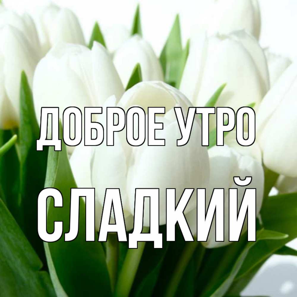 Открытка на каждый день с именем, Сладкий Доброе утро открытки на каждый день по именам Прикольная открытка с пожеланием онлайн скачать бесплатно 