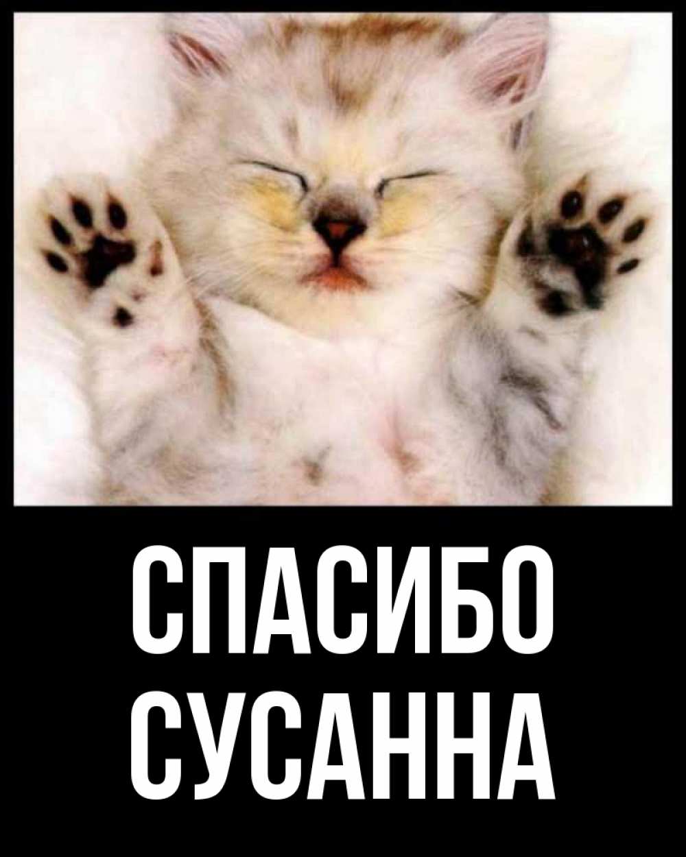 Открытка на каждый день с именем, Сусанна Спасибо маленький котенок Прикольная открытка с пожеланием онлайн скачать бесплатно 