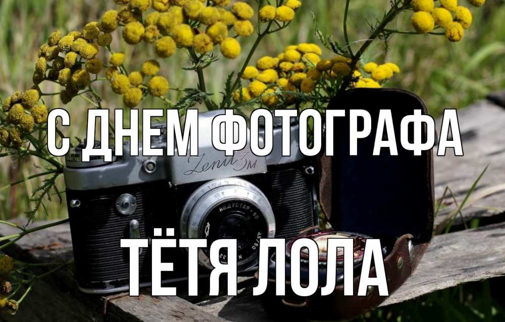 Открытка на каждый день с именем, Тётя-Лола С днем фотографа с днем фотографа Прикольная открытка с пожеланием онлайн скачать бесплатно 