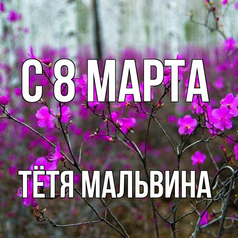 Открытка на каждый день с именем, Тётя-Мальвина С 8 МАРТА дикие цветы Прикольная открытка с пожеланием онлайн скачать бесплатно 