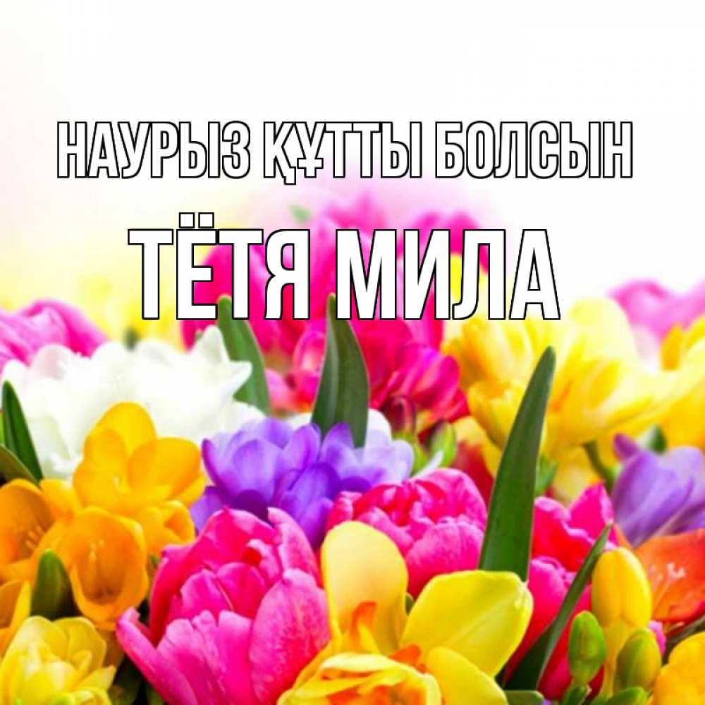 Открытка на каждый день с именем, Тётя-Мила Наурыз құтты болсын тюльпаны Прикольная открытка с пожеланием онлайн скачать бесплатно 
