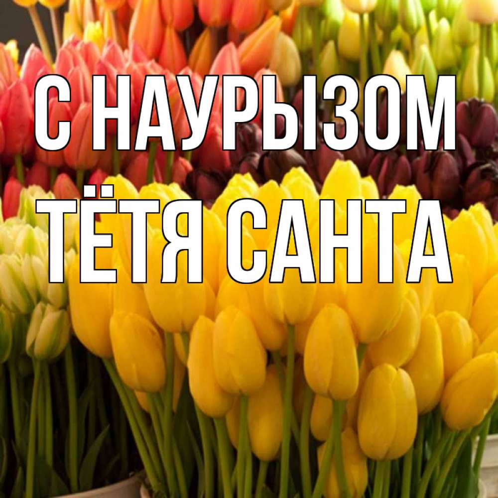 Открытка на каждый день с именем, Тётя-Санта С наурызом цветы Прикольная открытка с пожеланием онлайн скачать бесплатно 