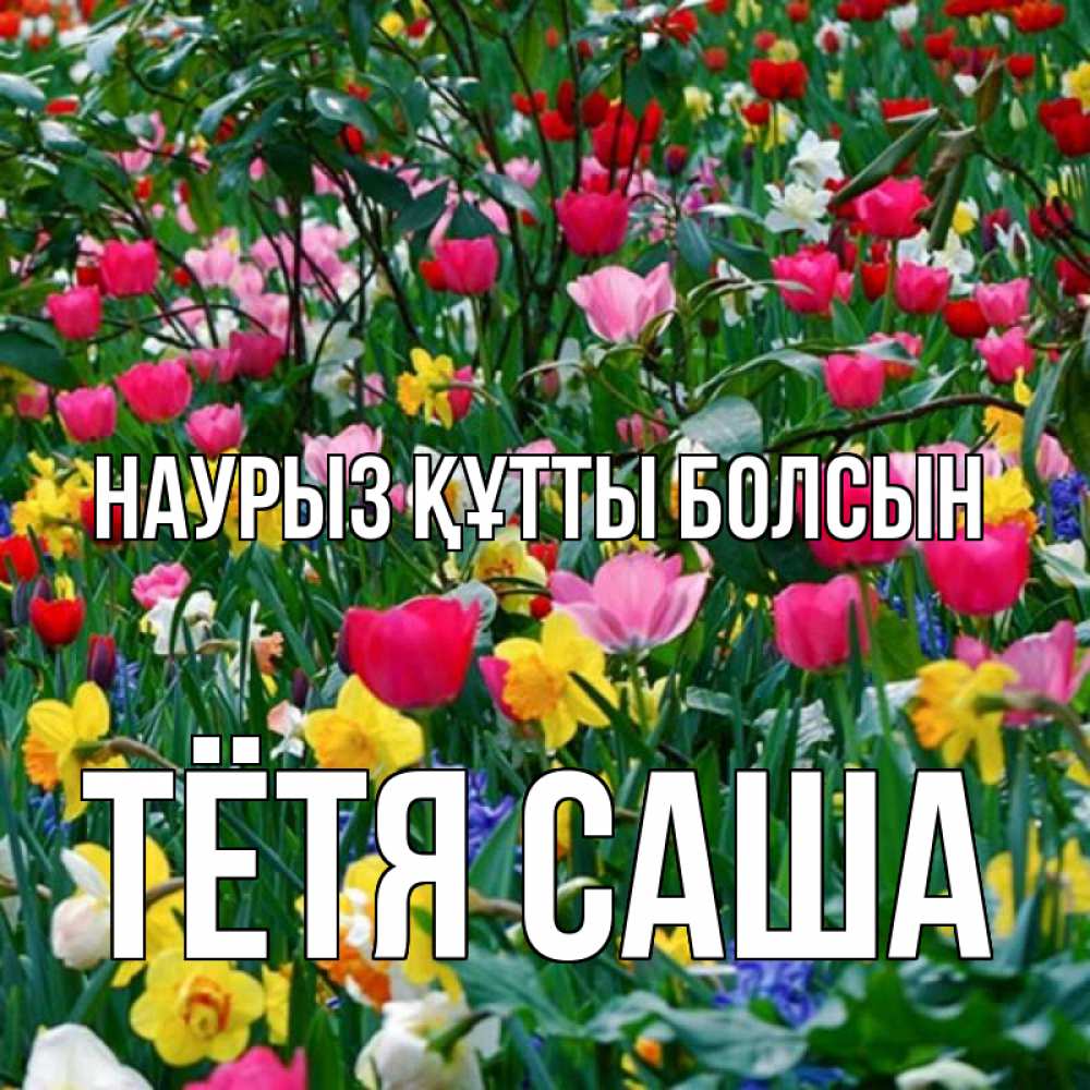 Открытка на каждый день с именем, Тётя-Саша Наурыз құтты болсын с наурызом поздравления для женщины Прикольная открытка с пожеланием онлайн скачать бесплатно 