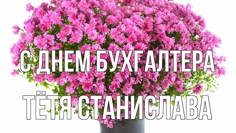 Открытка на каждый день с именем, Тётя-Станислава С днем бухгалтера с днем бухгалтера Прикольная открытка с пожеланием онлайн скачать бесплатно 