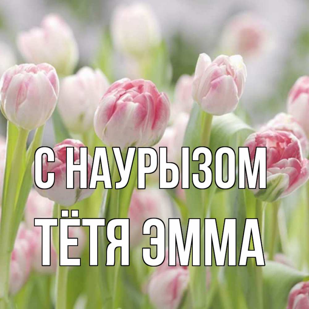 Открытка на каждый день с именем, Тётя-Эмма С наурызом цветы Прикольная открытка с пожеланием онлайн скачать бесплатно 