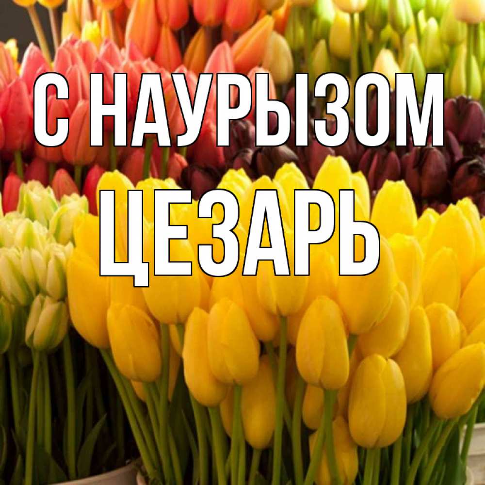 Открытка на каждый день с именем, Цезарь С наурызом цветы Прикольная открытка с пожеланием онлайн скачать бесплатно 