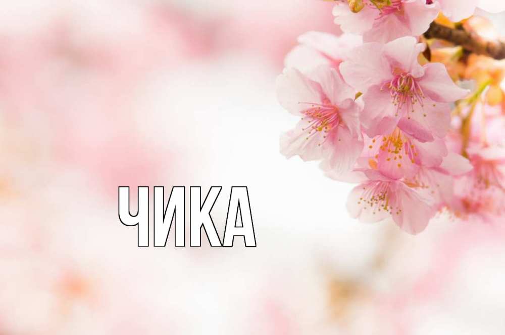 Открытка на каждый день с именем, Чика Главная С 1 мая Прикольная открытка с пожеланием онлайн скачать бесплатно 