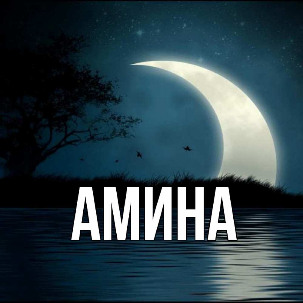 Открытки амина, велосипедами