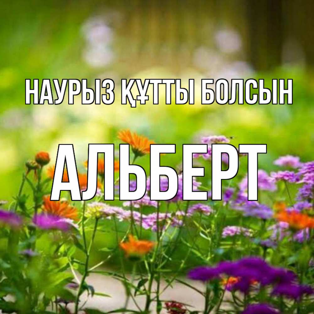 Открытка на каждый день с именем, Альберт Наурыз құтты болсын цветы Прикольная открытка с пожеланием онлайн скачать бесплатно 