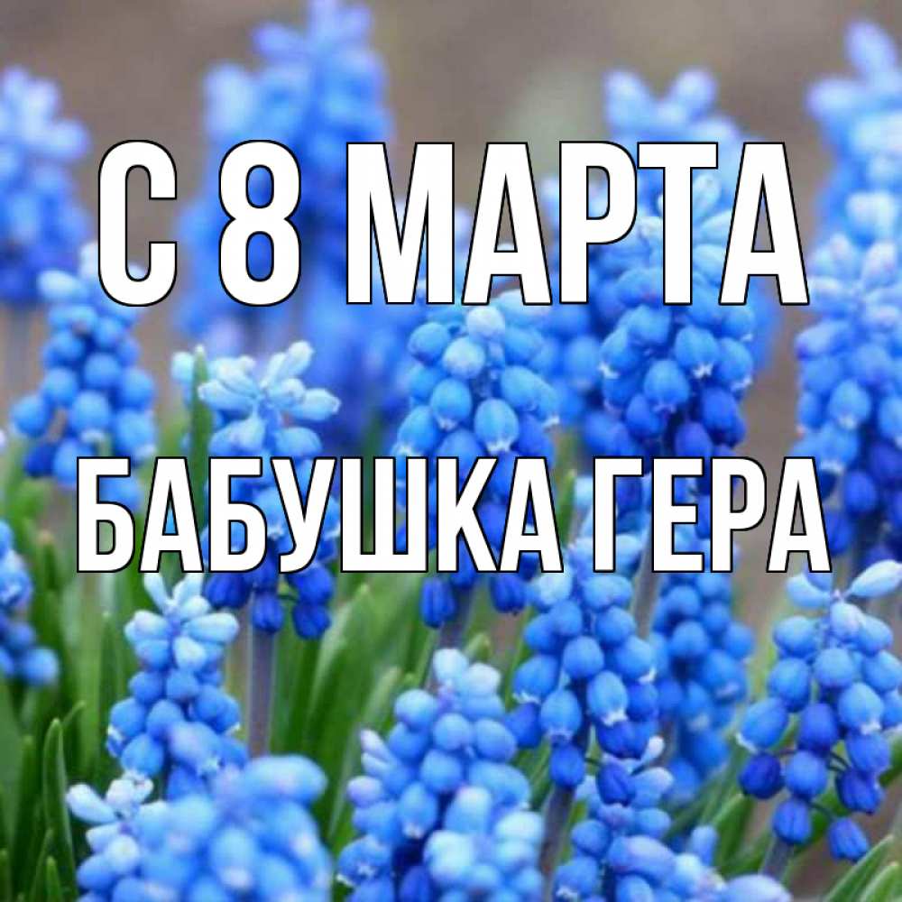 Открытка на каждый день с именем, Бабушка-Гера С 8 МАРТА Поздравительная открытка для женщин с цветами на праздничную дату Прикольная открытка с пожеланием онлайн скачать бесплатно 