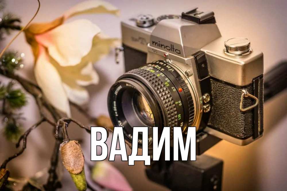 Открытка на каждый день с именем, Вадим Главная с днем фотографа 1 Прикольная открытка с пожеланием онлайн скачать бесплатно 