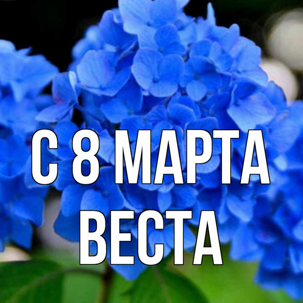 Открытка на каждый день с именем, Веста С 8 МАРТА синие цветы Прикольная открытка с пожеланием онлайн скачать бесплатно 